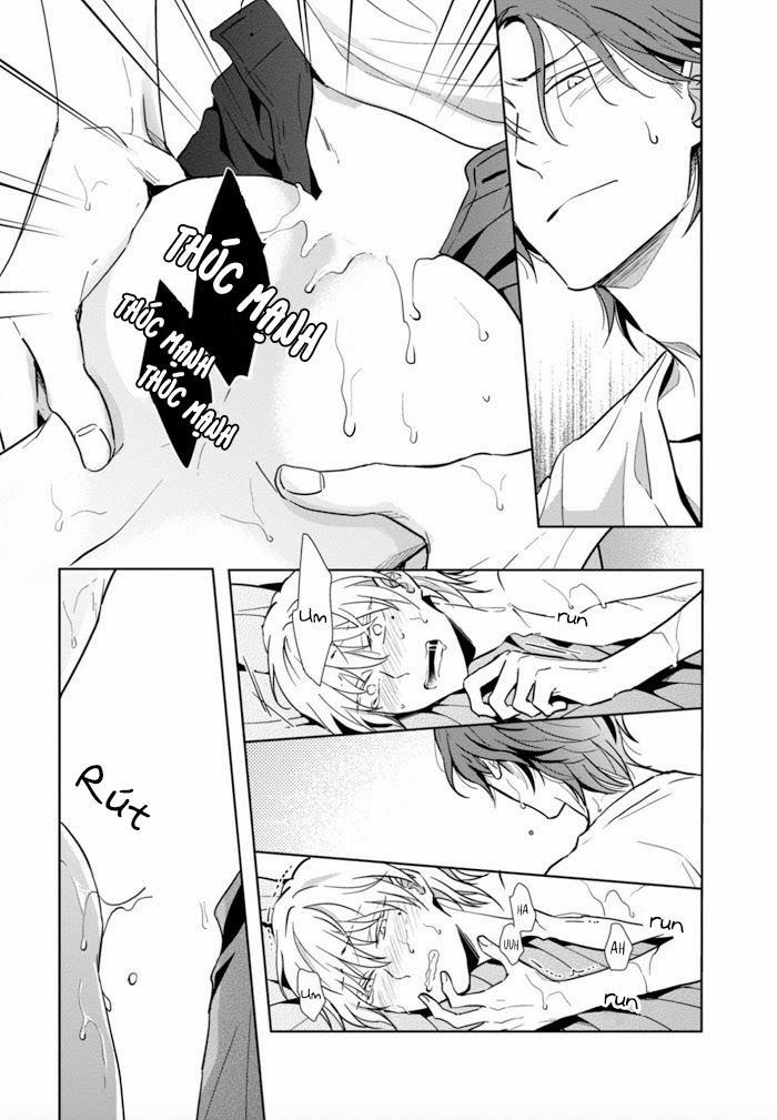 Lồng Hoa Cẩm Tú Cầu 1 trang 37