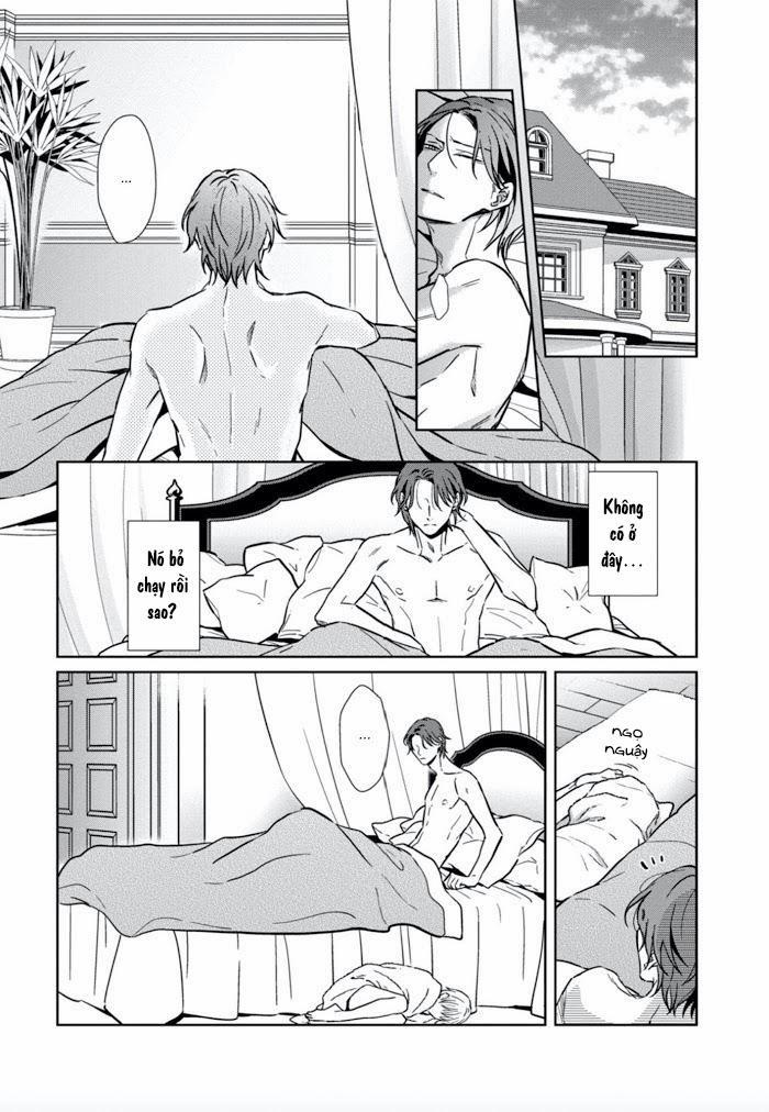 Lồng Hoa Cẩm Tú Cầu 1 trang 39