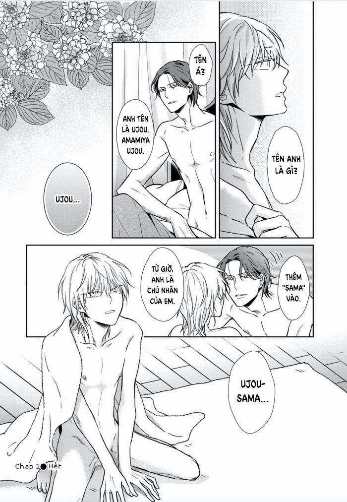 Lồng Hoa Cẩm Tú Cầu 1 trang 41