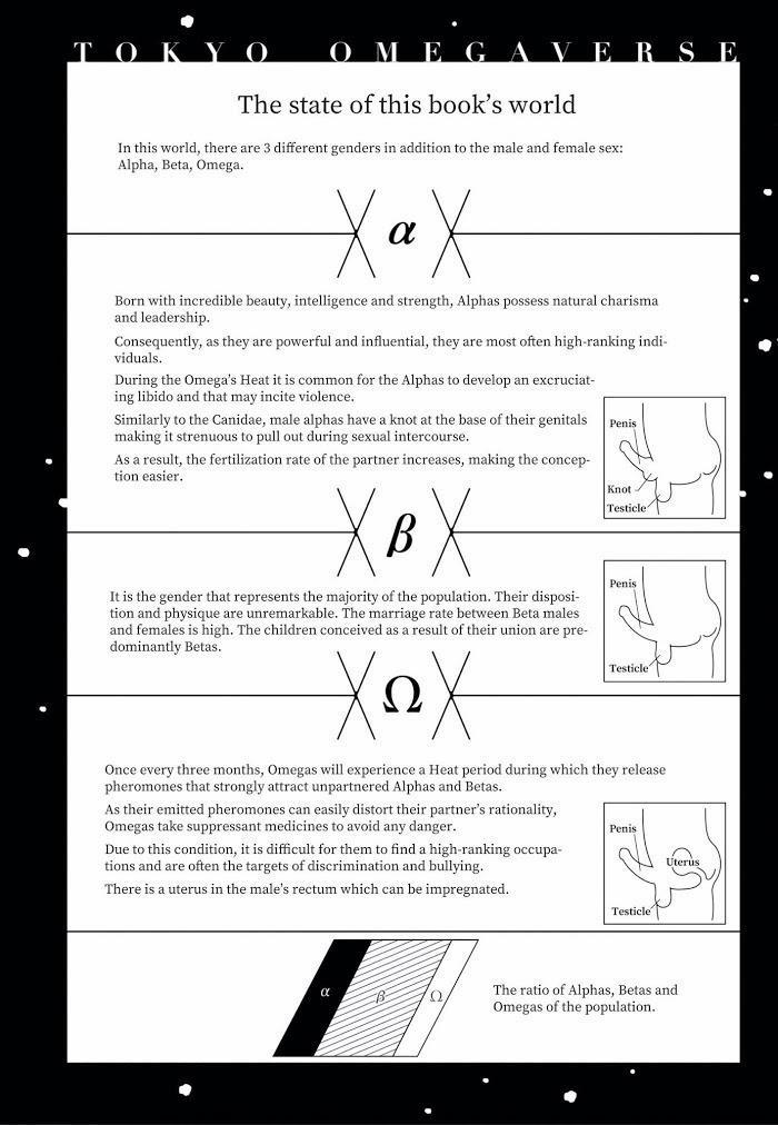 Lồng Hoa Cẩm Tú Cầu 1 trang 6