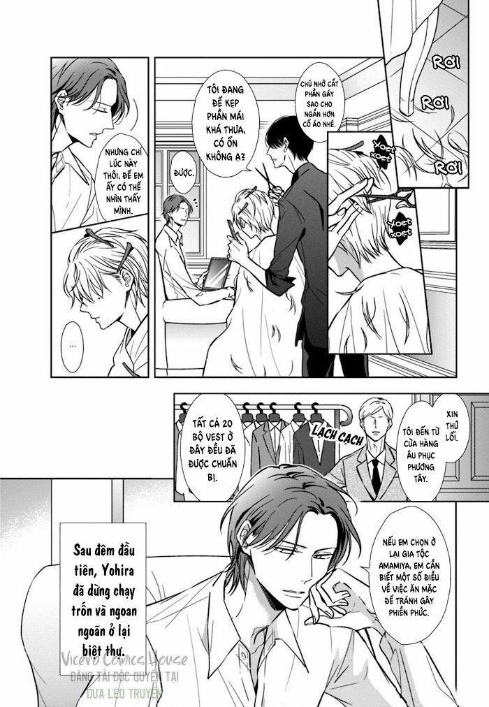 Lồng Hoa Cẩm Tú Cầu 2 trang 0