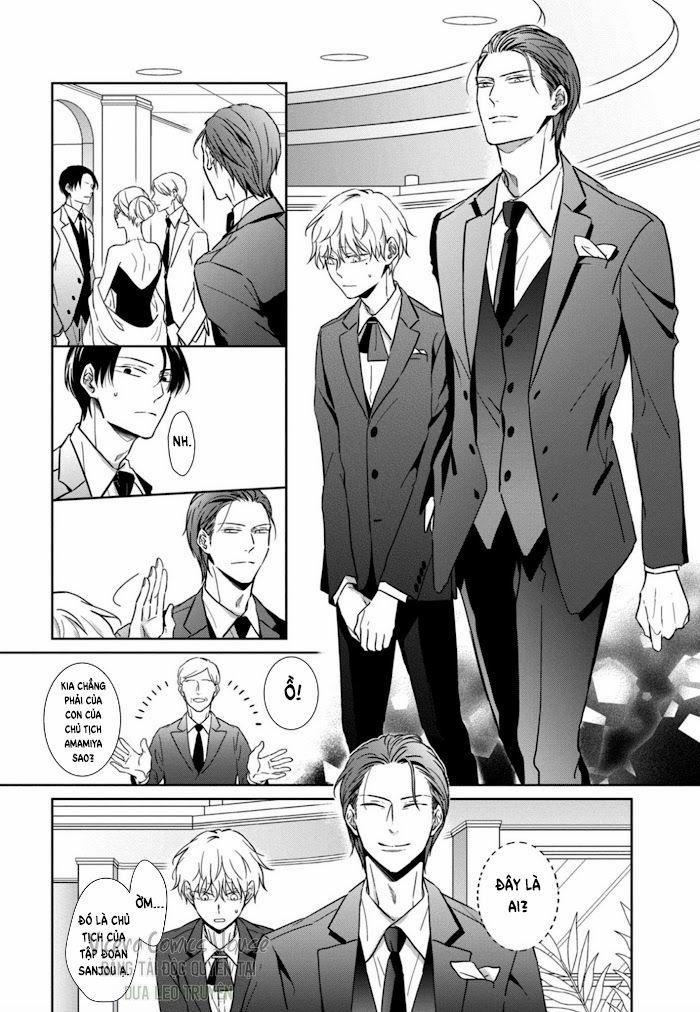 Lồng Hoa Cẩm Tú Cầu 2 trang 13