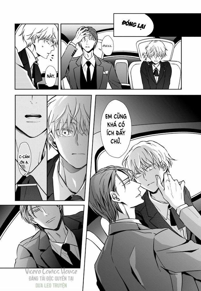 Lồng Hoa Cẩm Tú Cầu 2 trang 15