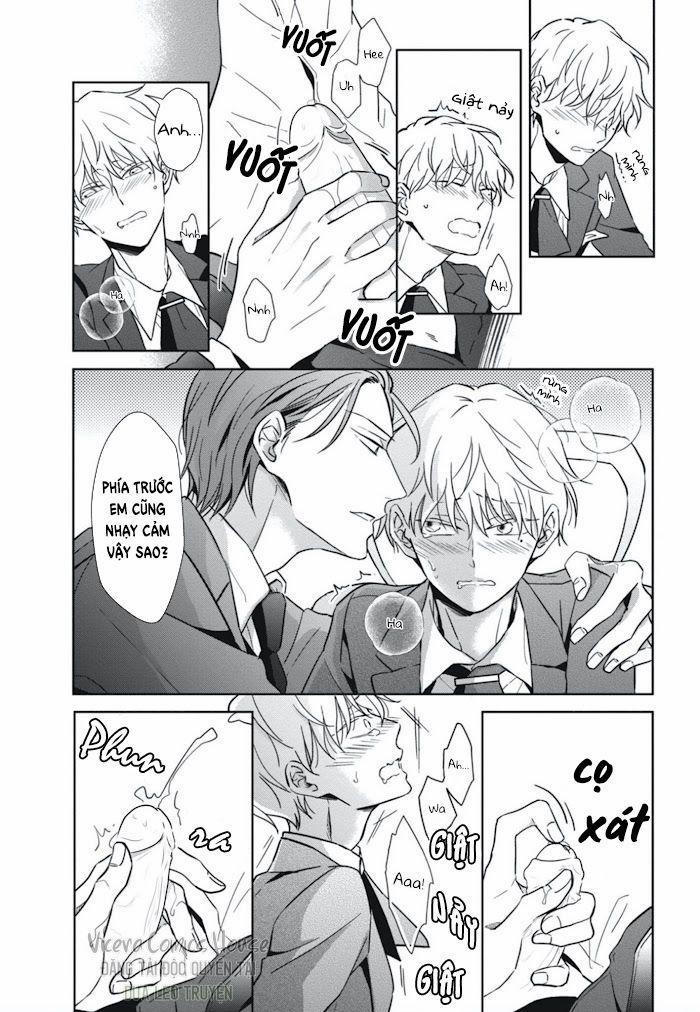 Lồng Hoa Cẩm Tú Cầu 2 trang 22