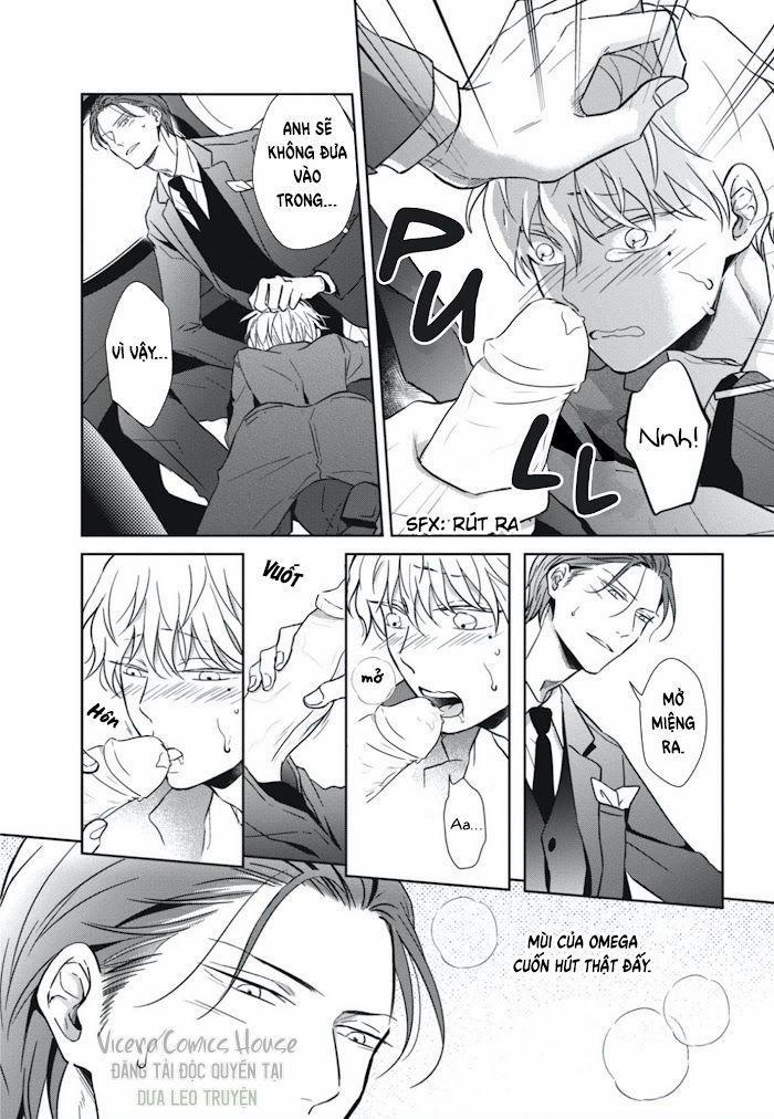 Lồng Hoa Cẩm Tú Cầu 2 trang 24