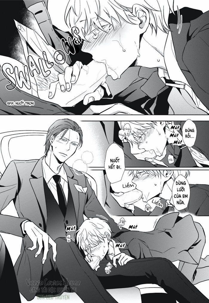 Lồng Hoa Cẩm Tú Cầu 2 trang 25