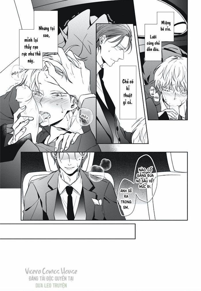 Lồng Hoa Cẩm Tú Cầu 2 trang 26