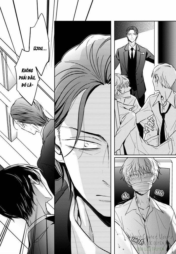 Lồng Hoa Cẩm Tú Cầu 3 trang 29