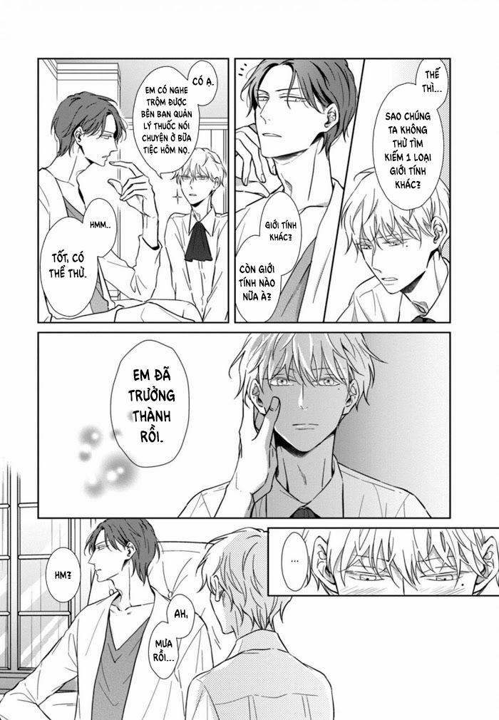 Lồng Hoa Cẩm Tú Cầu 4 trang 1