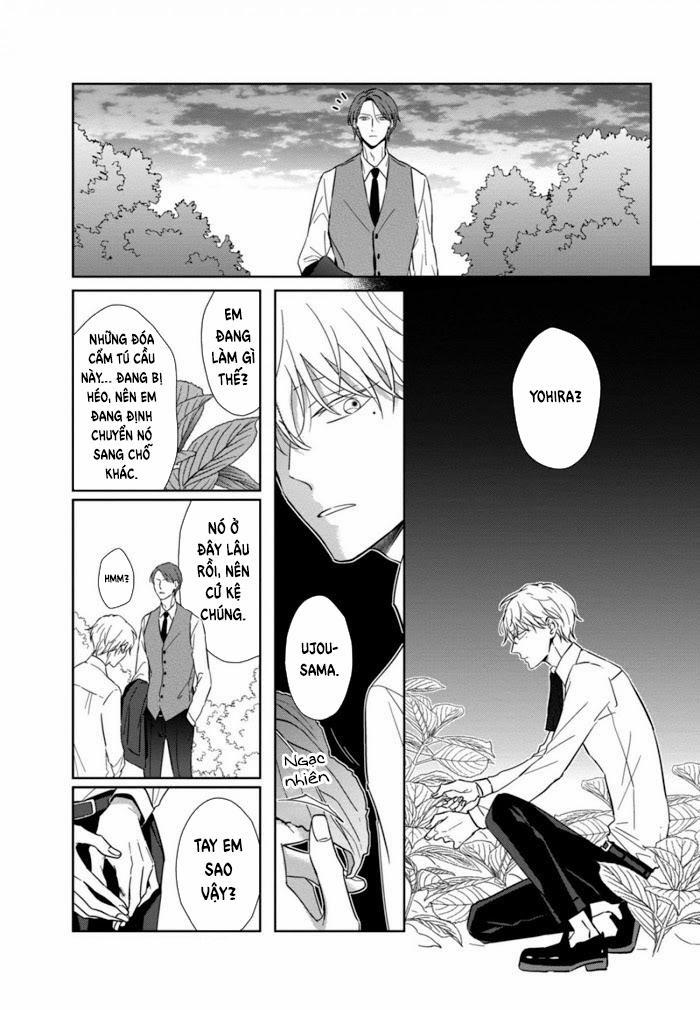 Lồng Hoa Cẩm Tú Cầu 4 trang 12