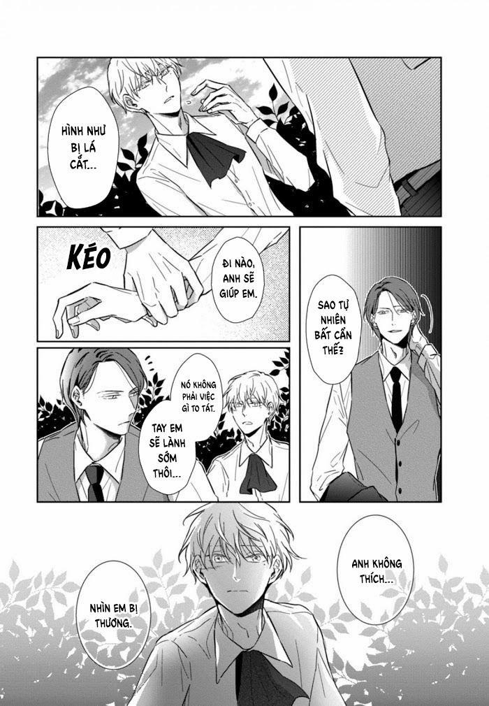 Lồng Hoa Cẩm Tú Cầu 4 trang 13