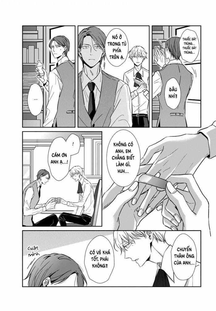 Lồng Hoa Cẩm Tú Cầu 4 trang 14