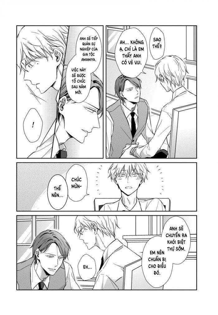 Lồng Hoa Cẩm Tú Cầu 4 trang 15