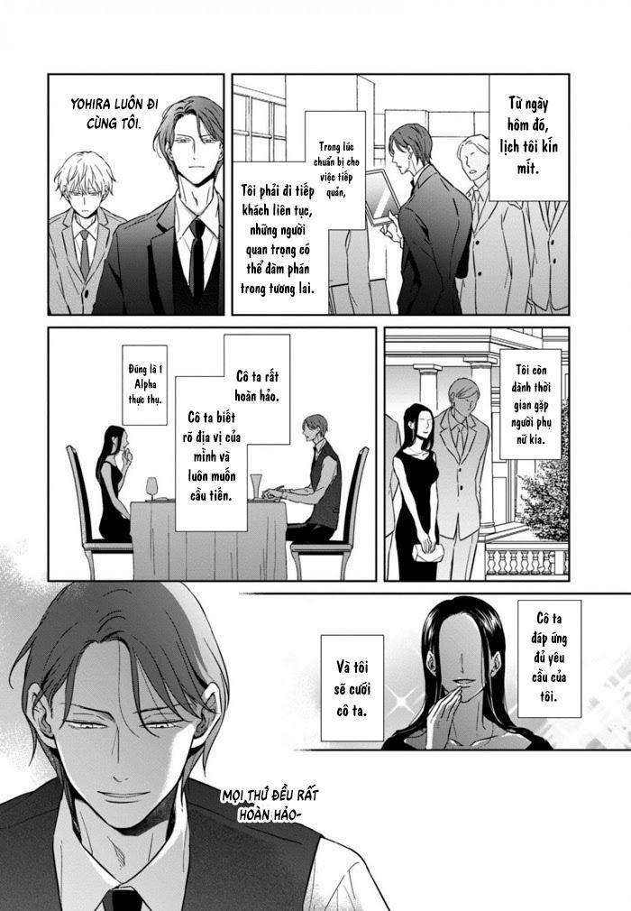 Lồng Hoa Cẩm Tú Cầu 4 trang 17