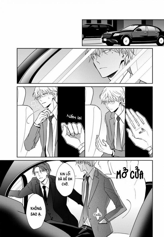 Lồng Hoa Cẩm Tú Cầu 4 trang 18