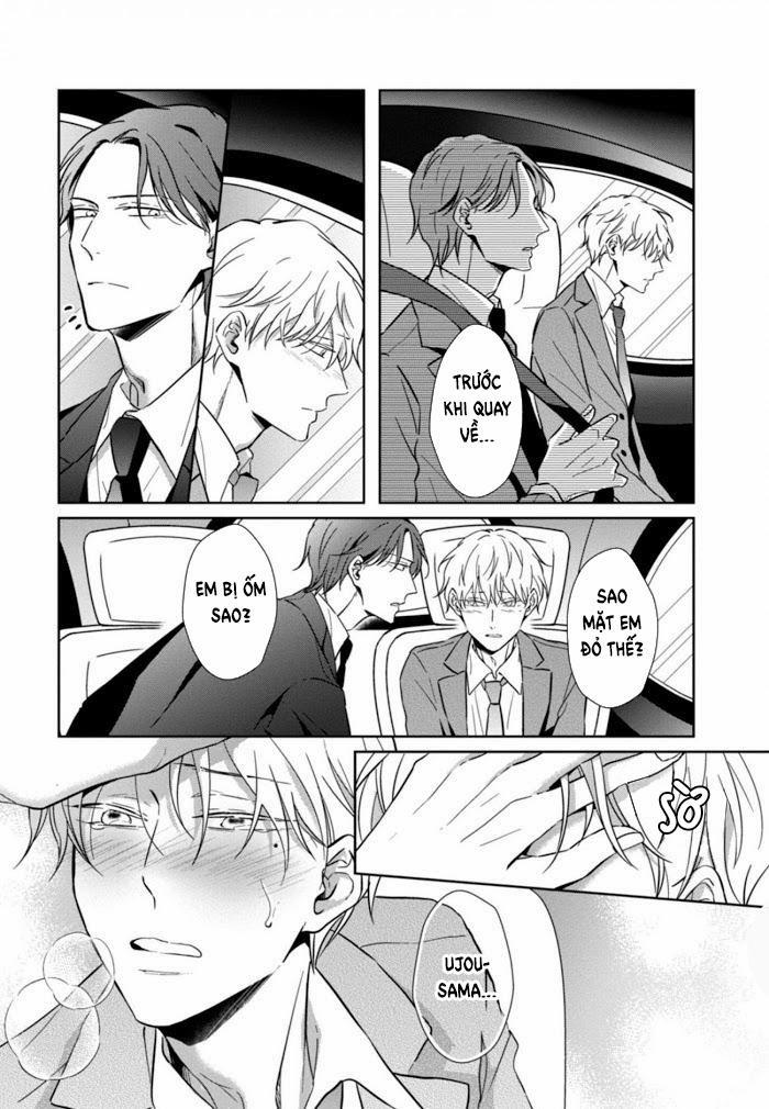 Lồng Hoa Cẩm Tú Cầu 4 trang 19