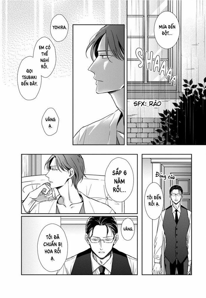 Lồng Hoa Cẩm Tú Cầu 4 trang 2