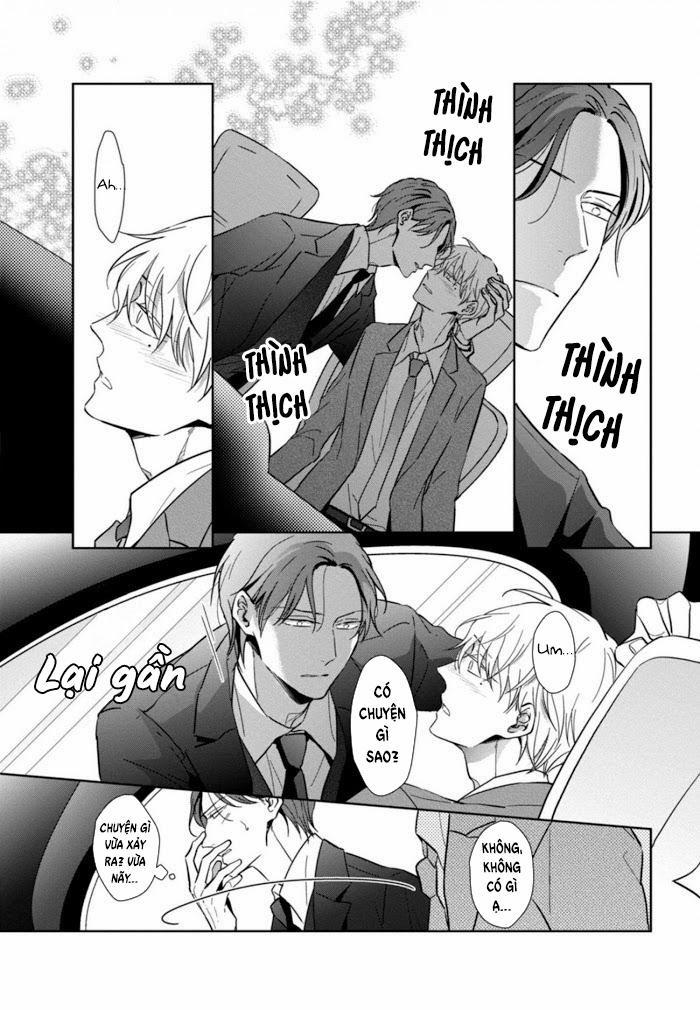 Lồng Hoa Cẩm Tú Cầu 4 trang 20