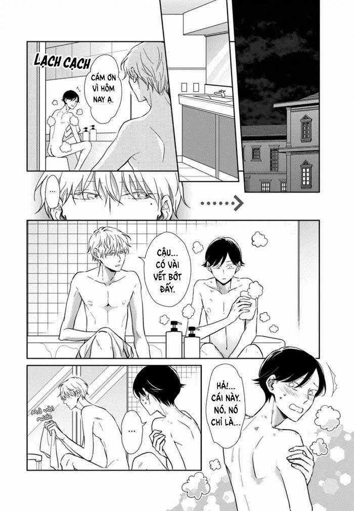 Lồng Hoa Cẩm Tú Cầu 4 trang 21