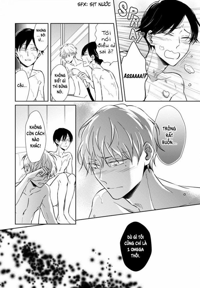 Lồng Hoa Cẩm Tú Cầu 4 trang 23