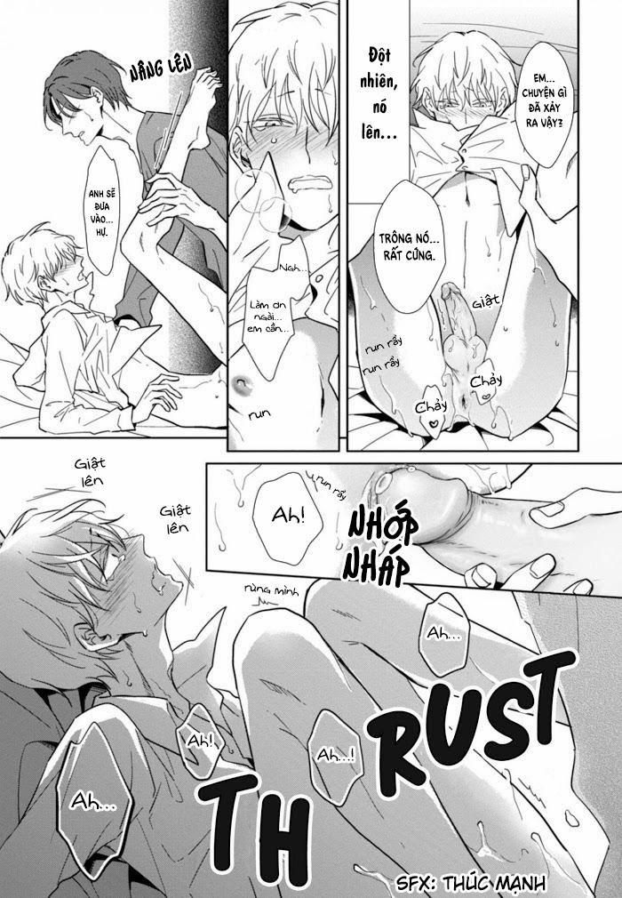 Lồng Hoa Cẩm Tú Cầu 4 trang 28