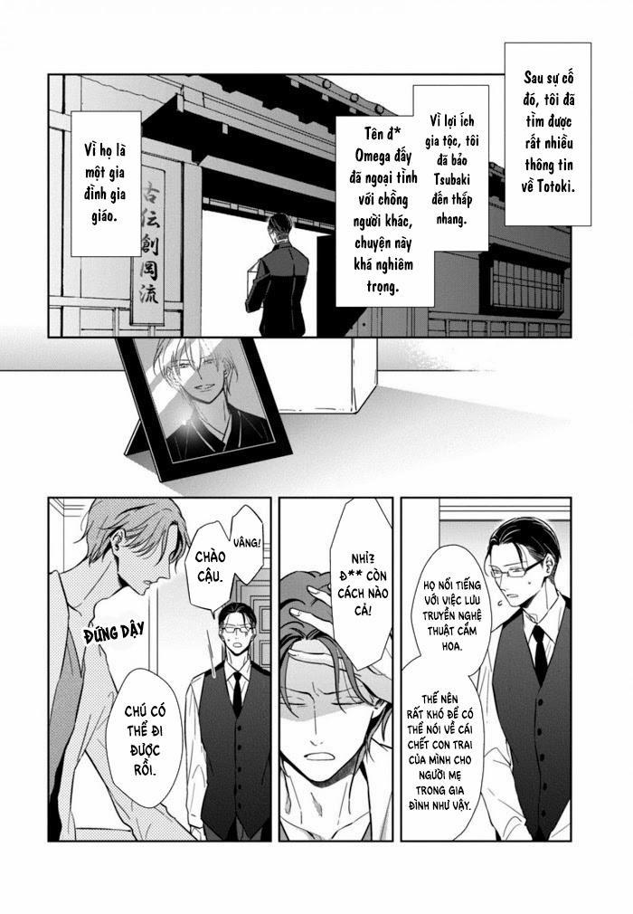 Lồng Hoa Cẩm Tú Cầu 4 trang 3