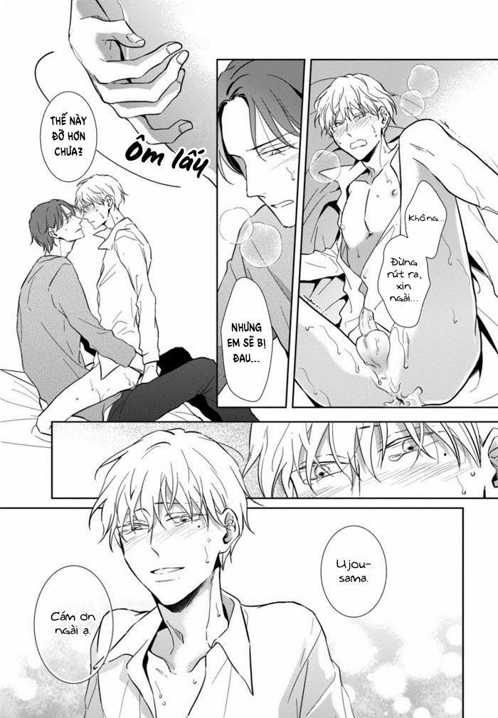 Lồng Hoa Cẩm Tú Cầu 4 trang 32