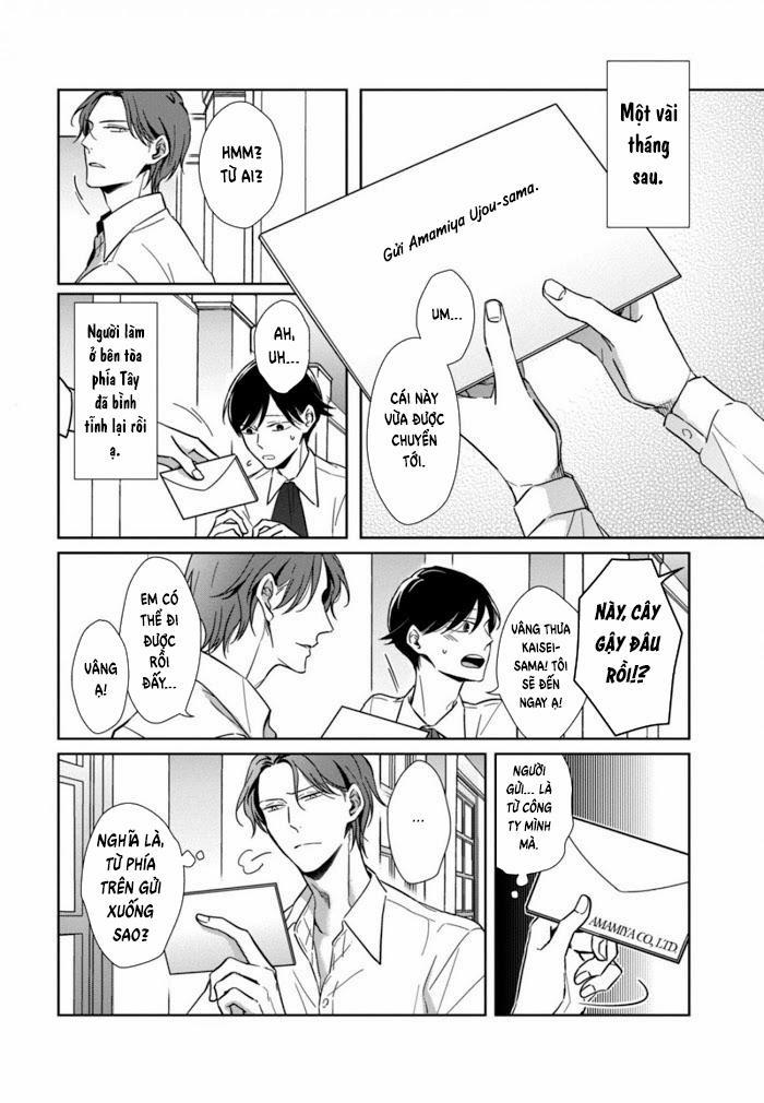 Lồng Hoa Cẩm Tú Cầu 4 trang 5