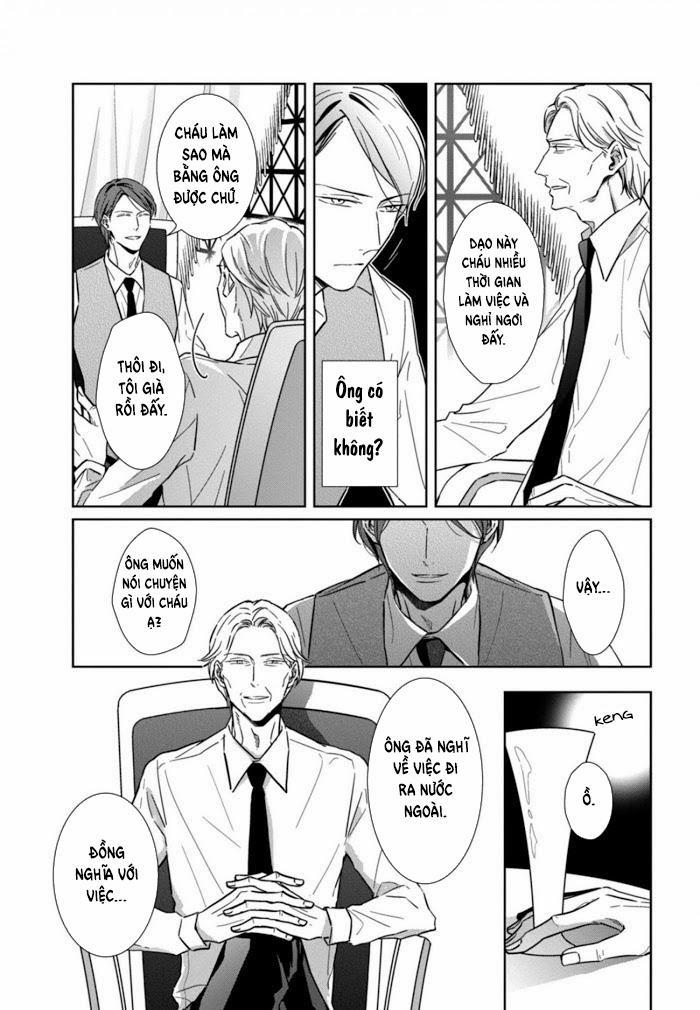 Lồng Hoa Cẩm Tú Cầu 4 trang 8