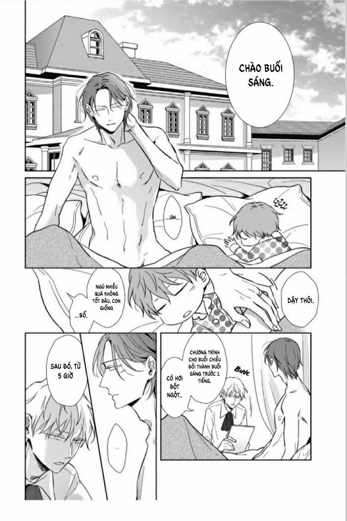 Lồng Hoa Cẩm Tú Cầu 5.5 trang 13