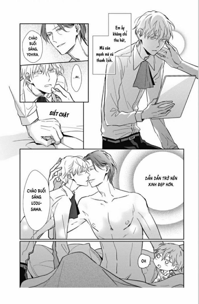 Lồng Hoa Cẩm Tú Cầu 5.5 trang 14