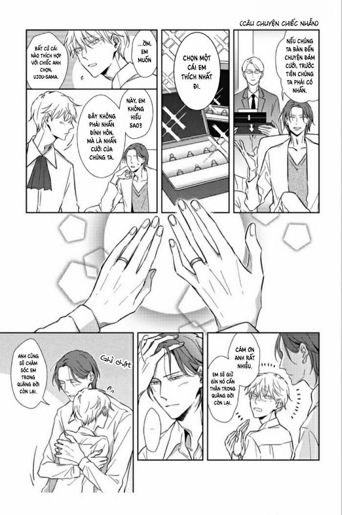 Lồng Hoa Cẩm Tú Cầu 5.5 trang 17