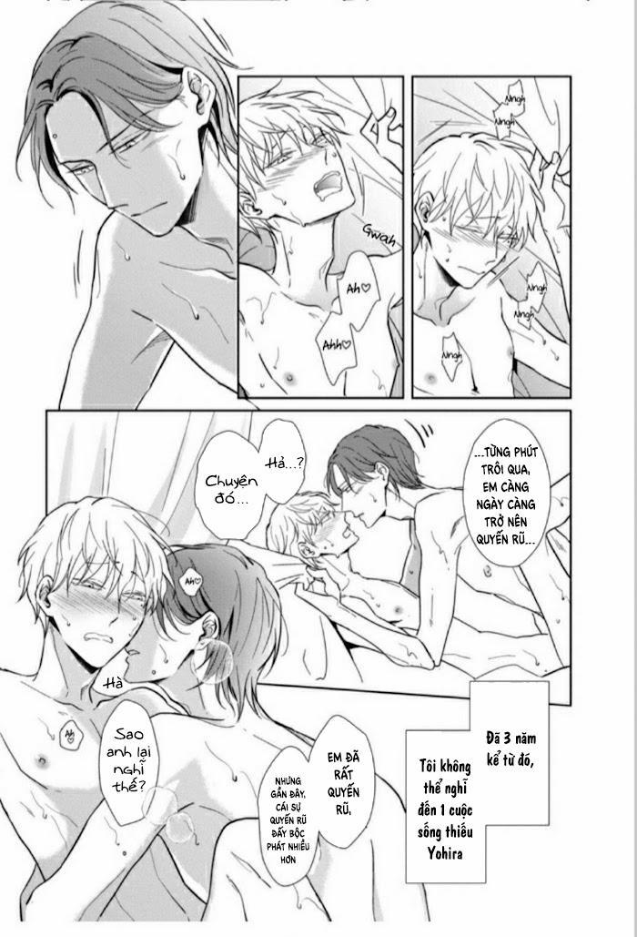 Lồng Hoa Cẩm Tú Cầu 5.5 trang 3