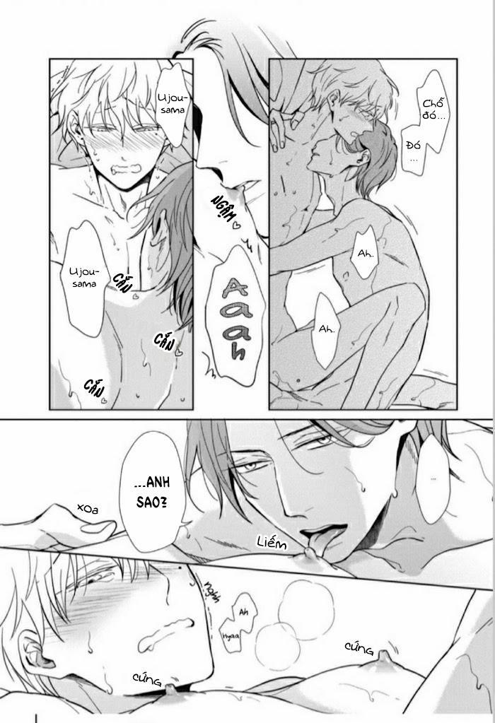 Lồng Hoa Cẩm Tú Cầu 5.5 trang 4