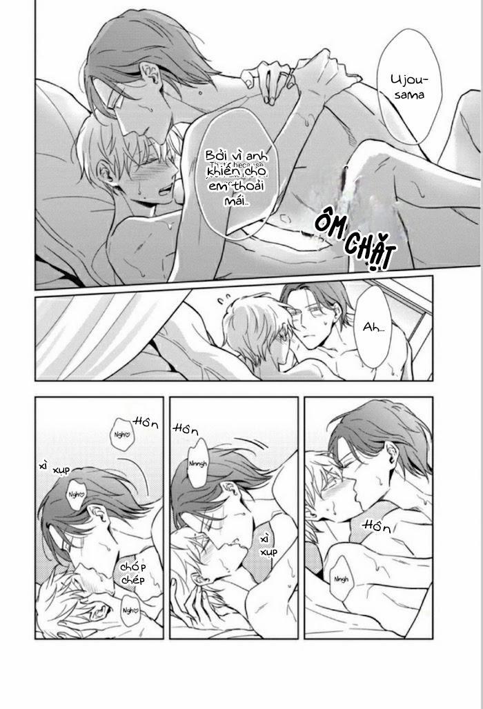 Lồng Hoa Cẩm Tú Cầu 5.5 trang 5