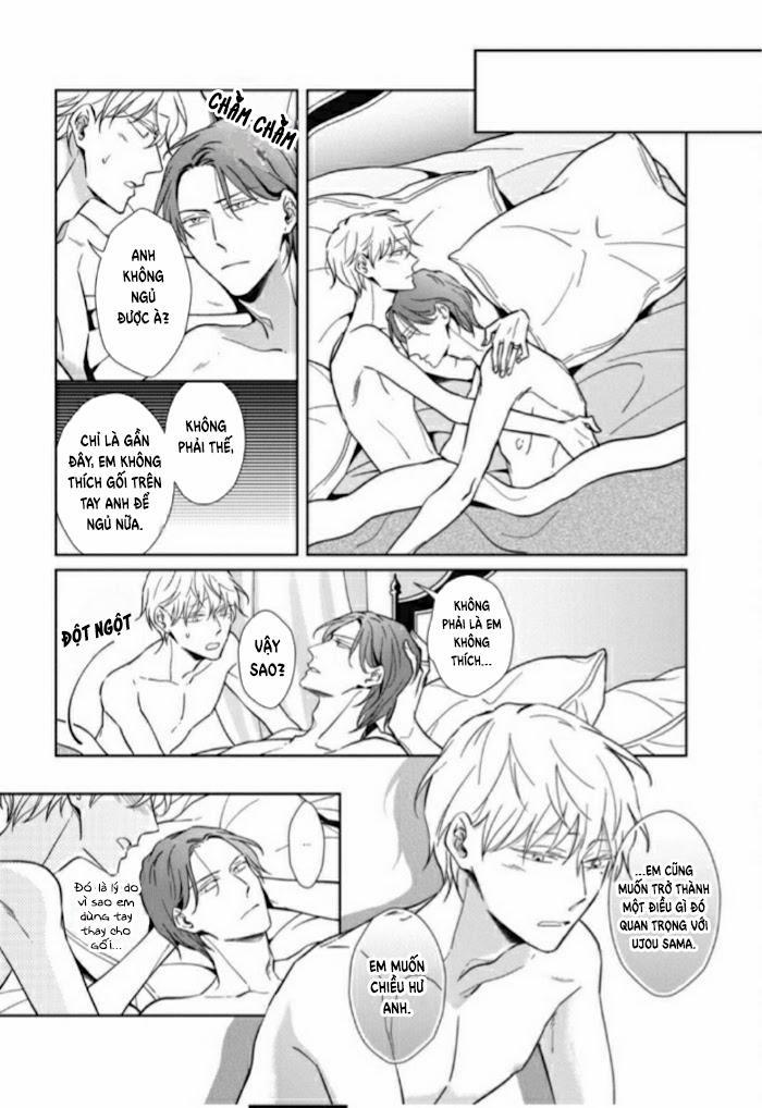 Lồng Hoa Cẩm Tú Cầu 5.5 trang 7