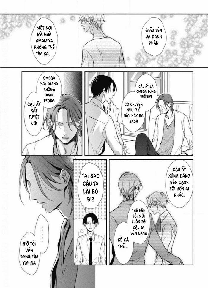 Lồng Hoa Cẩm Tú Cầu 5 trang 13