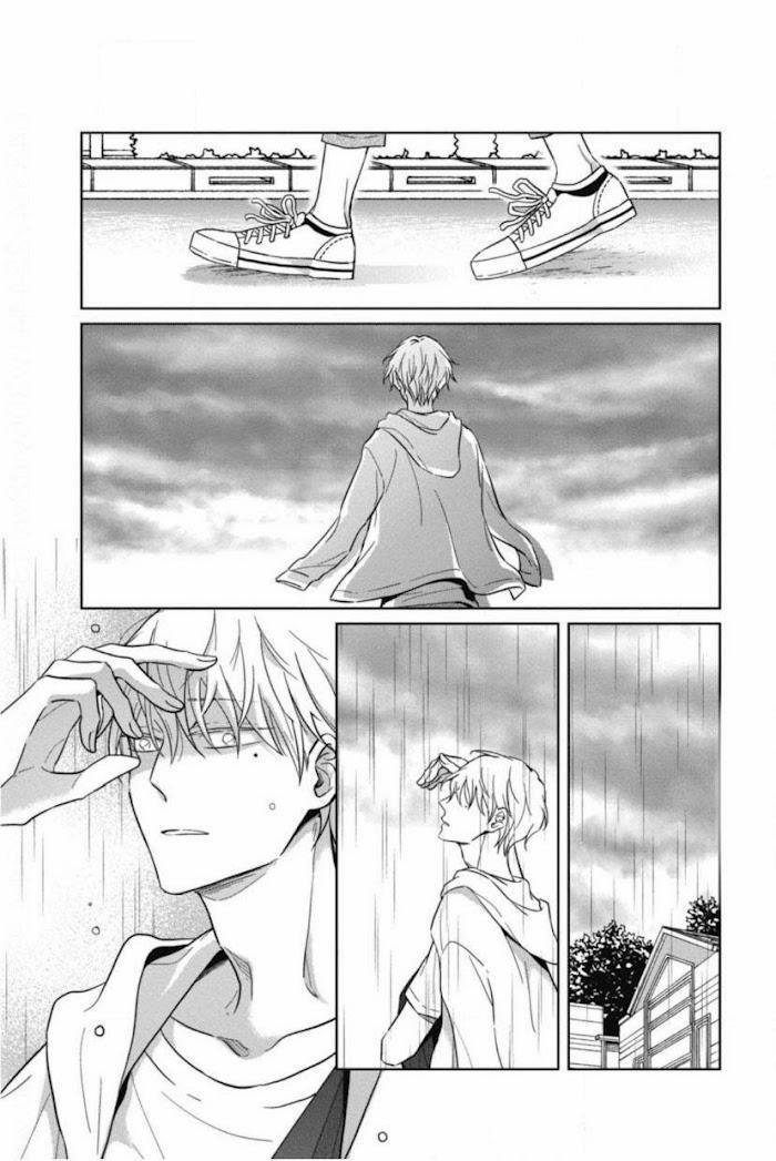 Lồng Hoa Cẩm Tú Cầu 5 trang 17