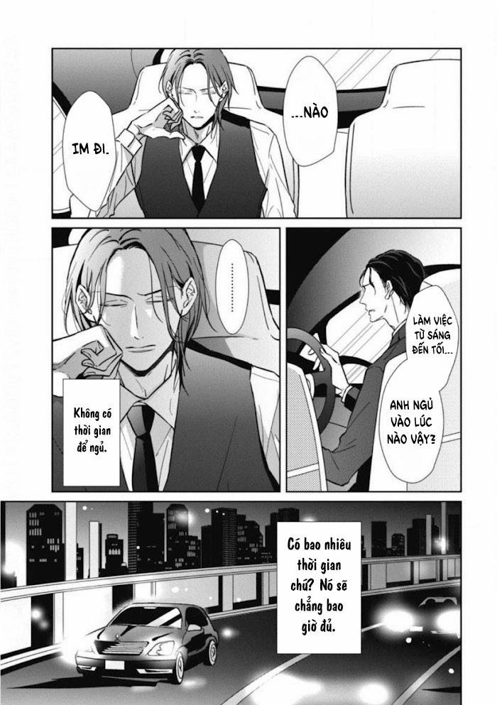 Lồng Hoa Cẩm Tú Cầu 5 trang 2