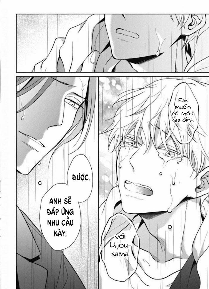 Lồng Hoa Cẩm Tú Cầu 5 trang 23