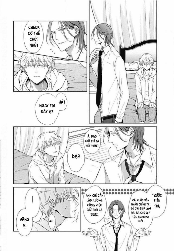 Lồng Hoa Cẩm Tú Cầu 5 trang 27