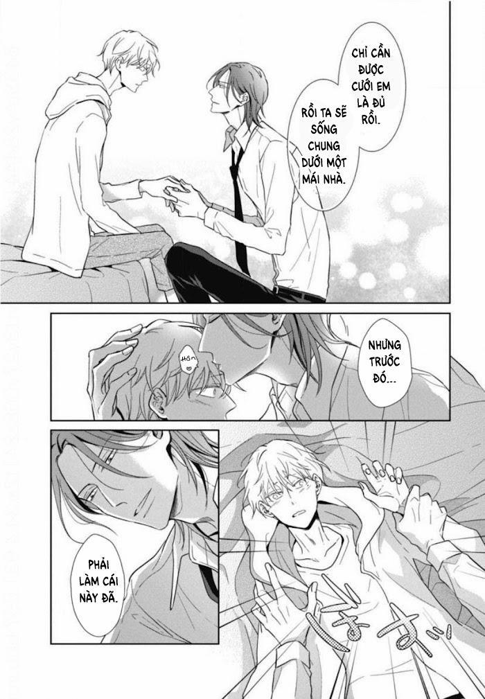 Lồng Hoa Cẩm Tú Cầu 5 trang 28