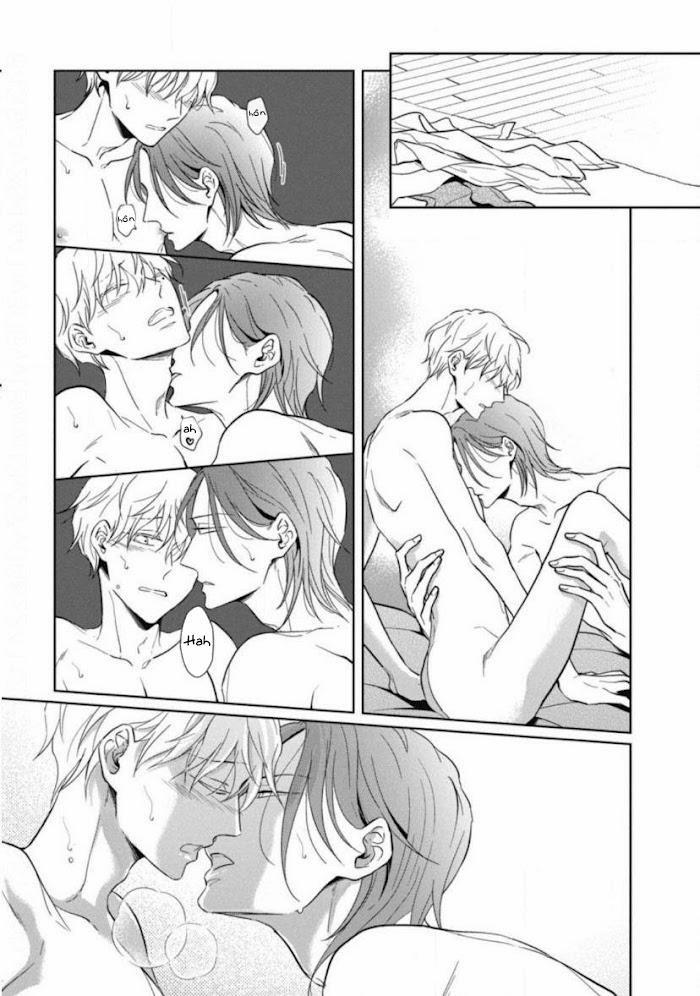 Lồng Hoa Cẩm Tú Cầu 5 trang 29