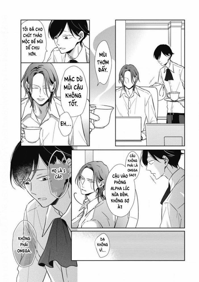 Lồng Hoa Cẩm Tú Cầu 5 trang 7