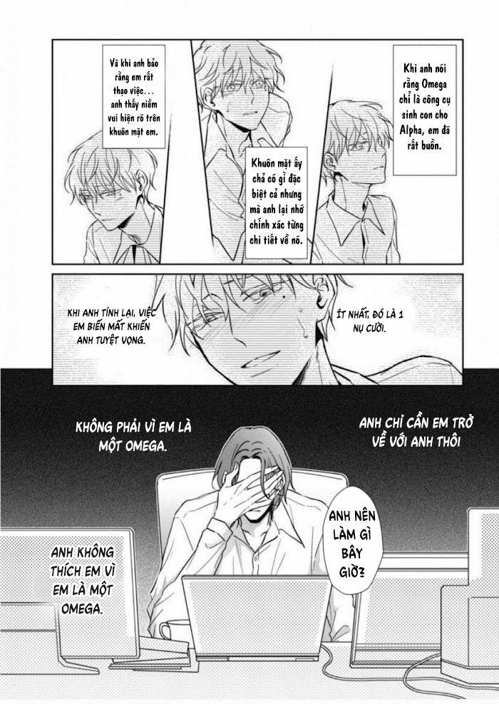 Lồng Hoa Cẩm Tú Cầu 5 trang 9