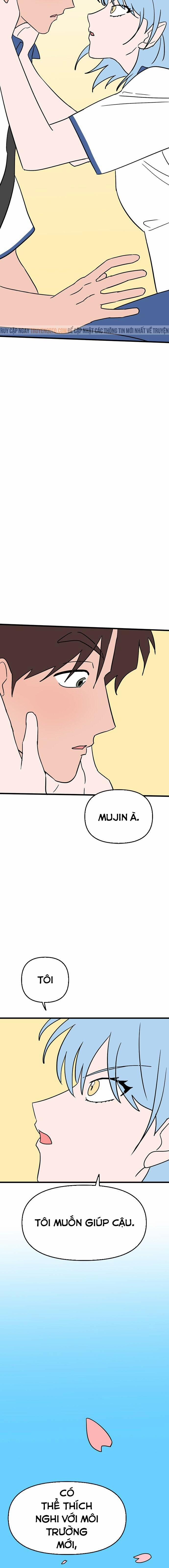 Long Miêu 76 trang 11