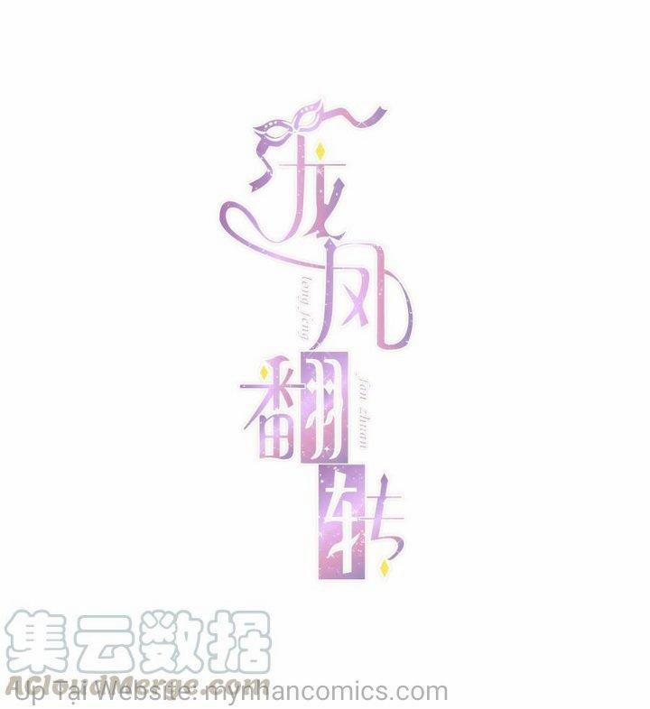 Long Phụng Đảo Lộn 41 trang 0