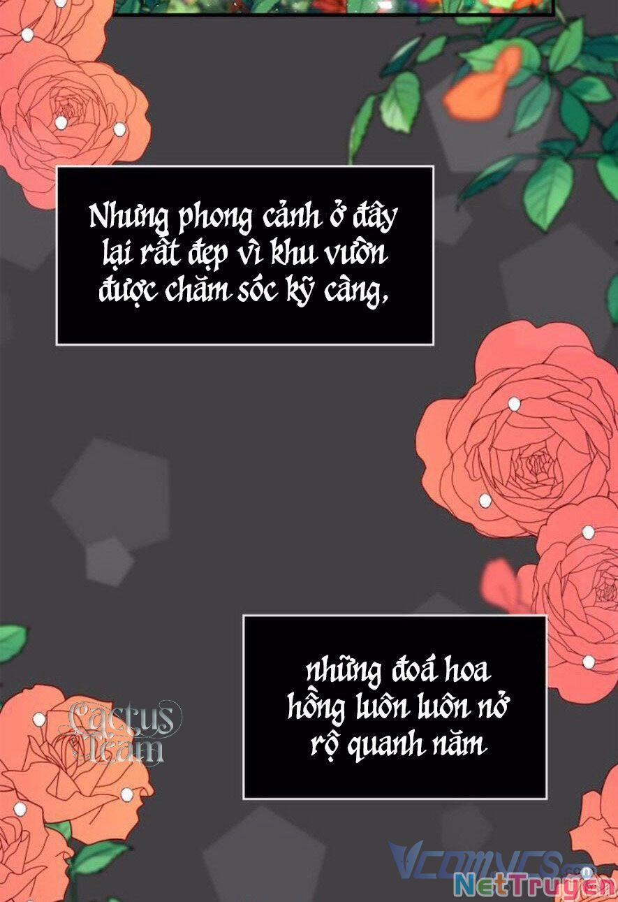 Lòng Trung Thành Với Kẻ Ác 11 trang 17