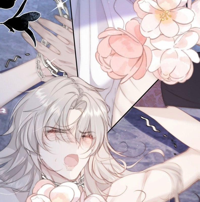 Lồng Tuyết 1 trang 74