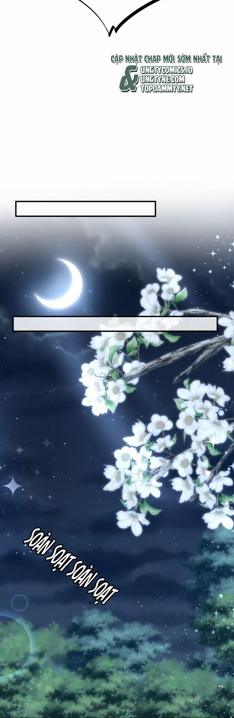 Lồng Tuyết 24 trang 11